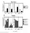 Fig. 66 - Compositions and methods for selective phagocytosis of human cancer cells