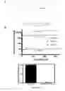 Fig. 72 - Compositions and methods for selective phagocytosis of human cancer cells