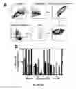 Fig. 76 - Compositions and methods for selective phagocytosis of human cancer cells