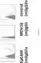 Fig. 10 - COMPOSITIONS AND METHODS FOR TREATING ANTIBODY RESISTANCE