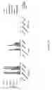 Fig. 19 - COMPOSITIONS AND METHODS FOR TREATING ANTIBODY RESISTANCE