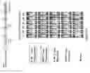 Fig. 22 - COMPOSITIONS AND METHODS FOR TREATING ANTIBODY RESISTANCE