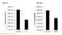 Fig. 03 - MESENCHYMAL STROMAL CELLS FOR TREATING SEPSIS