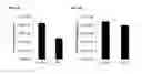 Fig. 05 - MESENCHYMAL STROMAL CELLS FOR TREATING SEPSIS