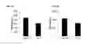 Fig. 06 - MESENCHYMAL STROMAL CELLS FOR TREATING SEPSIS