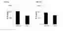 Fig. 07 - MESENCHYMAL STROMAL CELLS FOR TREATING SEPSIS