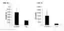 Fig. 08 - MESENCHYMAL STROMAL CELLS FOR TREATING SEPSIS