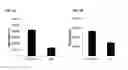 Fig. 09 - MESENCHYMAL STROMAL CELLS FOR TREATING SEPSIS