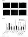Fig. 03 - METHODS AND PRODUCTS FOR TRANSFECTING CELLS