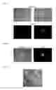 Fig. 06 - METHODS AND PRODUCTS FOR TRANSFECTING CELLS