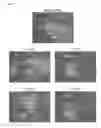 Fig. 09 - METHODS AND PRODUCTS FOR TRANSFECTING CELLS
