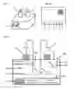 Fig. 10 - METHODS AND PRODUCTS FOR TRANSFECTING CELLS