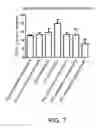 Fig. 08 - Method for improving mitochondria and method for promoting cell division of stem cell