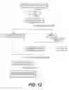 Fig. 13 - Medicinal composition of extract of seed of emblica officinalis and method of preparing the same
