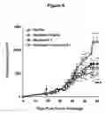 Fig. 07 - Combination therapy with peptide epoxyketones