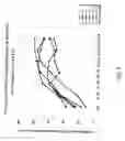 Fig. 09 - Method of treating dyspnea associated with acute heart failure