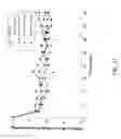 Fig. 22 - Method of treating dyspnea associated with acute heart failure