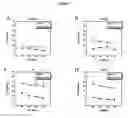 Fig. 08 - Peptide analogs capable of enhancing stimulation of a glioma-specific CTL response