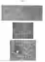 Fig. 09 - Peptide analogs capable of enhancing stimulation of a glioma-specific CTL response
