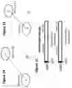 Fig. 02 - Vaccines for human papilloma virus and methods for using the same