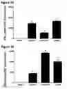 Fig. 04 - Vaccines for human papilloma virus and methods for using the same
