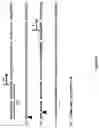 Fig. 08 - Vaccines for human papilloma virus and methods for using the same