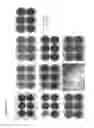 Fig. 16 - Cell lines for virus production and methods of use