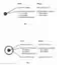 Fig. 02 - Compositions for delivery of food allergens to the stomach