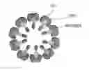 Fig. 01 - Immunity inducer