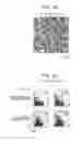 Fig. 03 - Immunity inducer