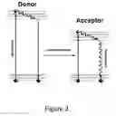 Fig. 03 - BIOPHOTONIC MATERIALS AND USES THEREOF