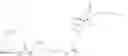 Fig. 09 - TARGETED CONJUGATES AND PARTICLES AND FORMULATIONS THEREOF