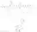 Fig. 35 - TARGETED CONJUGATES AND PARTICLES AND FORMULATIONS THEREOF