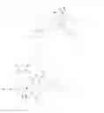 Fig. 37 - TARGETED CONJUGATES AND PARTICLES AND FORMULATIONS THEREOF