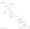 Fig. 41 - TARGETED CONJUGATES AND PARTICLES AND FORMULATIONS THEREOF