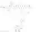 Fig. 44 - TARGETED CONJUGATES AND PARTICLES AND FORMULATIONS THEREOF