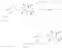 Fig. 98 - TARGETED CONJUGATES AND PARTICLES AND FORMULATIONS THEREOF
