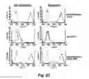 Fig. 06 - Targeted interferons demonstrate potent apoptotic and anti-tumor activities