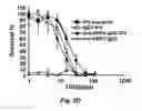 Fig. 07 - Targeted interferons demonstrate potent apoptotic and anti-tumor activities
