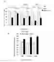 Fig. 05 - Methods for treating cancer with EGFR nanobodies linked to DR5 binding moieties