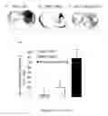 Fig. 08 - Methods for treating cancer with EGFR nanobodies linked to DR5 binding moieties