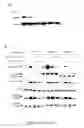 Fig. 10 - Methods for treating cancer with EGFR nanobodies linked to DR5 binding moieties