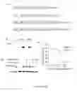 Fig. 12 - Methods for treating cancer with EGFR nanobodies linked to DR5 binding moieties