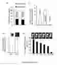 Fig. 13 - Methods for treating cancer with EGFR nanobodies linked to DR5 binding moieties
