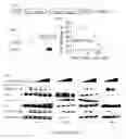 Fig. 15 - Methods for treating cancer with EGFR nanobodies linked to DR5 binding moieties
