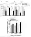 Fig. 16 - Methods for treating cancer with EGFR nanobodies linked to DR5 binding moieties