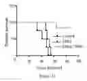 Fig. 18 - Methods for treating cancer with EGFR nanobodies linked to DR5 binding moieties