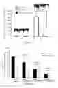 Fig. 24 - Methods for treating cancer with EGFR nanobodies linked to DR5 binding moieties