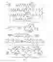 Fig. 12 - Disulfur bridge linkers for conjugation of a cell-binding molecule