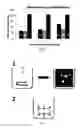 Fig. 02 - FUNCTIONALIZED NANOPARTICLES WITH ENCAPSULATED CARGO AND METHOD OF THEIR SELF-ASSEMBLY
